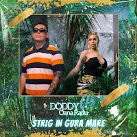 Doddy — Strig In Gura Mare Ft Oana Radu — обложка